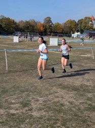 Cross Country 20
